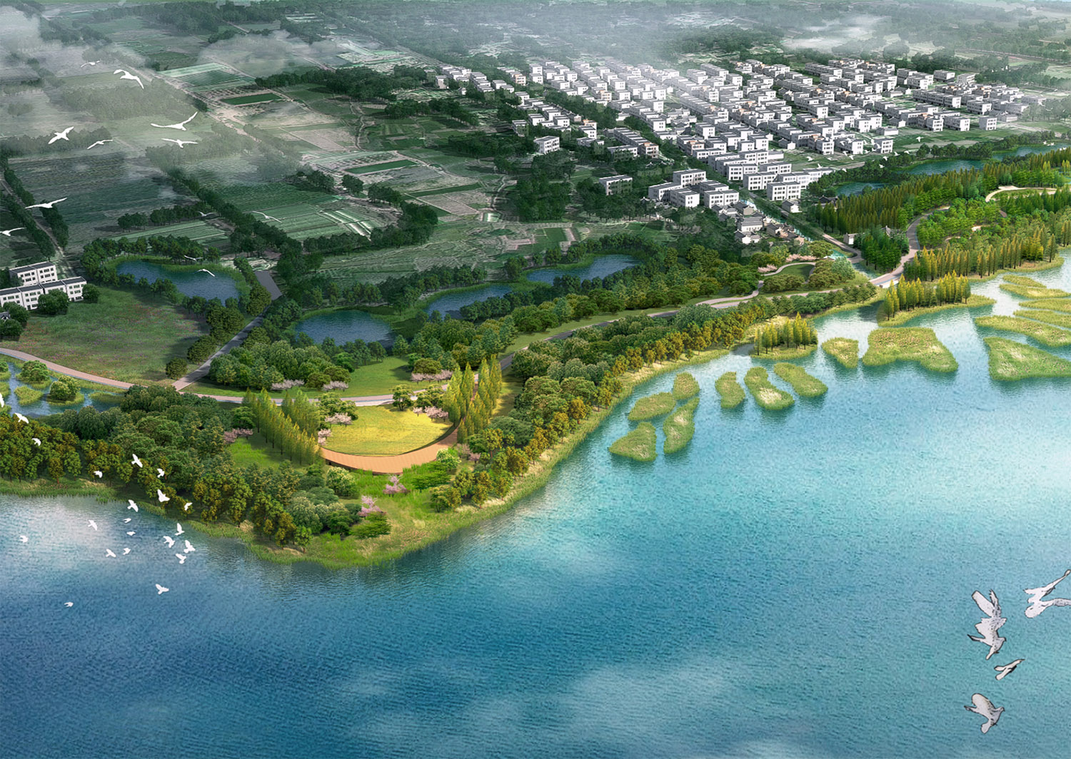 期待更多湿地公园开启免费模式 - 出行 - 民生网