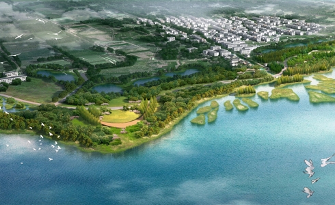 洱海湖滨缓冲带生态修 复工程